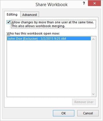 how to work on excel sheet with multiple users