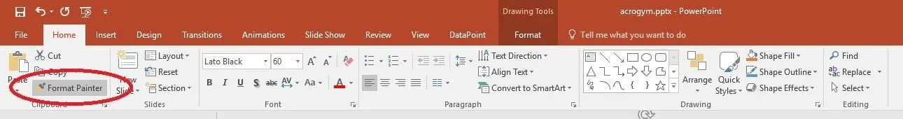 click the format painter button