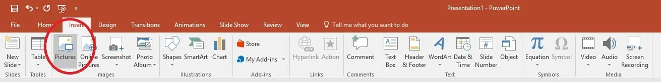 insert internet image