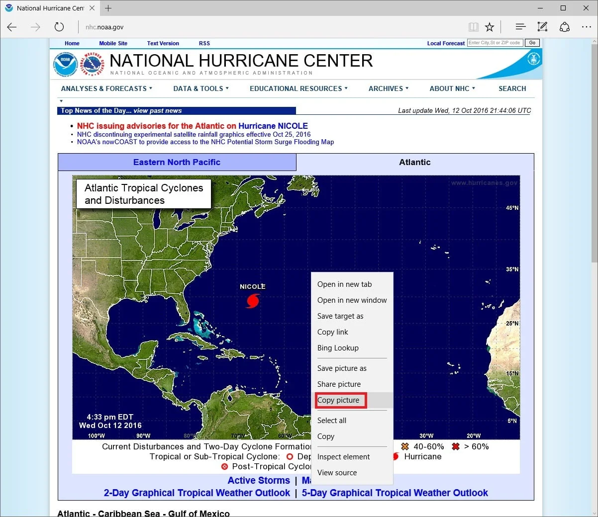 copy image in browser