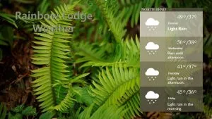RL - Weather Page