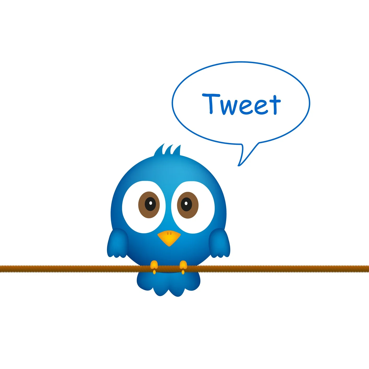 live twitter feed