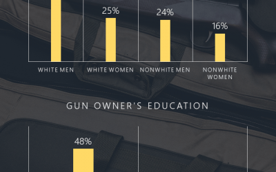 Gun Ownership Infographic – Display Data Visually