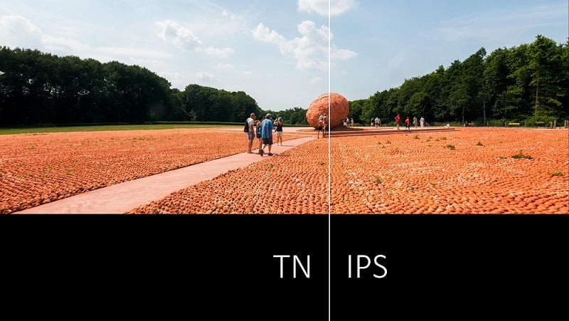 TN Panel vs IPS: a Comparison