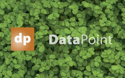 New: DataPoint 3.0 with Subscription