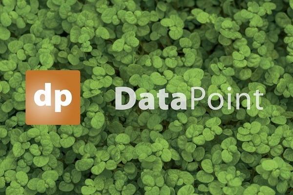 New: DataPoint 3.0 with Subscription