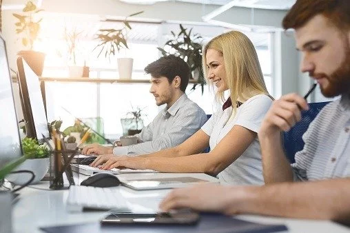 colleagues can use free viewer edition to use up-to-date slide content